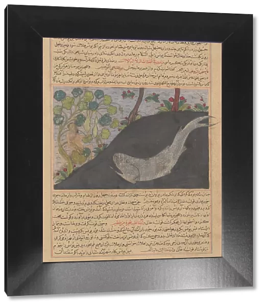 Jonah and the Whale, Folio from a Majma al-Tavarikh (Compendium of Histories)... ca