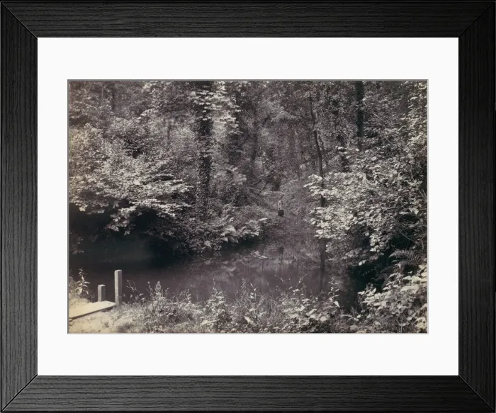 Framed Print : Colwyn Bay. The Pool in the Wood, 1870s. Creator: Francis Bedford Framed Print : Colwyn Bay. The Pool in the Wood, 1870s. Creator: Francis Bedford