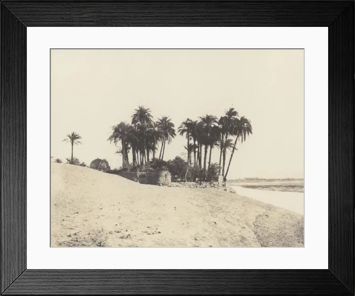 Framed Print : Louksor, Dattiers et Jardin de l Expedition du Louksor, 1851-52, printed 1853-54 Framed Print : Louksor, Dattiers et Jardin de l Expedition du Louksor, 1851-52, printed 1853-54