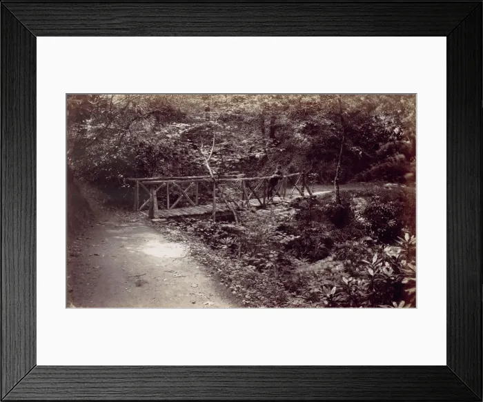 Framed Print : Colwyn Bay. Rustic Bridge in the Wood, 1870s. Creator: Francis Bedford Framed Print : Colwyn Bay. Rustic Bridge in the Wood, 1870s. Creator: Francis Bedford