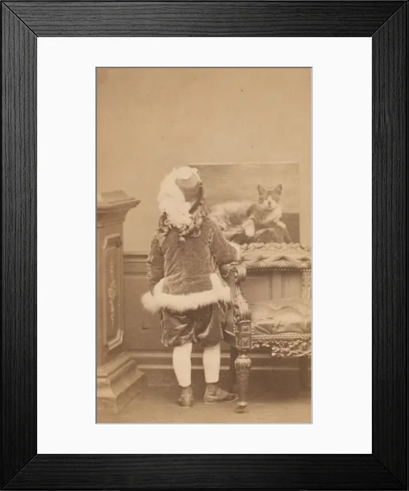 Framed Print : La veste de cygne, 1860s. Creator: Pierre-Louis Pierson Framed Print : La veste de cygne, 1860s. Creator: Pierre-Louis Pierson