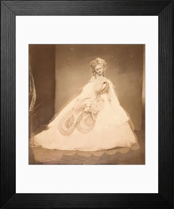Framed Print : La Bisi. Boudoir, robe velour gris, moire rose, fleurs roses, feuilles grises (de sa mai Framed Print : La Bisi. Boudoir, robe velour gris, moire rose, fleurs roses, feuilles grises (de sa mai
