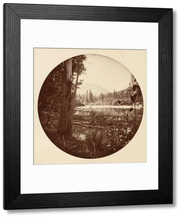 Framed Print : [Yosemite National Park, California], ca. 1878. Creator: Carleton Emmons Watkins