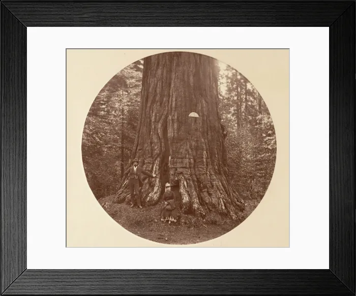 Framed Print : The Empire State - C. Grove, ca. 1878. Creator: Carleton Emmons Watkins Framed Print : The Empire State - C. Grove, ca. 1878. Creator: Carleton Emmons Watkins