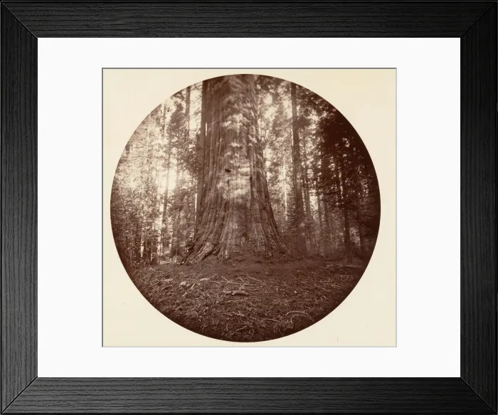 Framed Print : Empire State. C. Grove, ca. 1878. Creator: Carleton Emmons Watkins