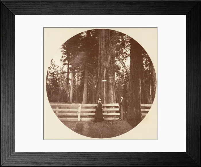 Framed Print : Auld Reckie. C. Grove, ca. 1878. Creator: Carleton Emmons Watkins Framed Print : Auld Reckie. C. Grove, ca. 1878. Creator: Carleton Emmons Watkins