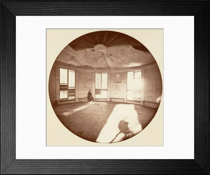 Framed Print : Interior of Pavilion Built on the Stump of the Tree, C. Grove, ca. 1878 Framed Print : Interior of Pavilion Built on the Stump of the Tree, C. Grove, ca. 1878