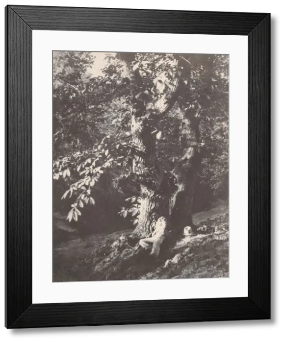 Framed Print : Homme allonge au pied d un chataignier, 1850-53. Creator: Charles Marville Framed Print : Homme allonge au pied d un chataignier, 1850-53. Creator: Charles Marville