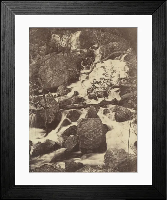Framed Print : [Trees and Waterfalls], 1860-65. Creator: Charles Negre