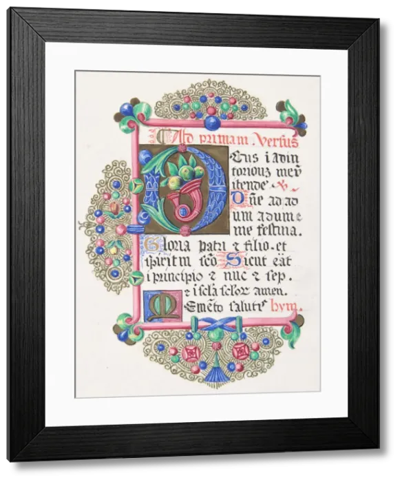 Framed Print : Illuminated Letter D within a Decorated Border, 1830-62 Framed Print : Illuminated Letter D within a Decorated Border, 1830-62