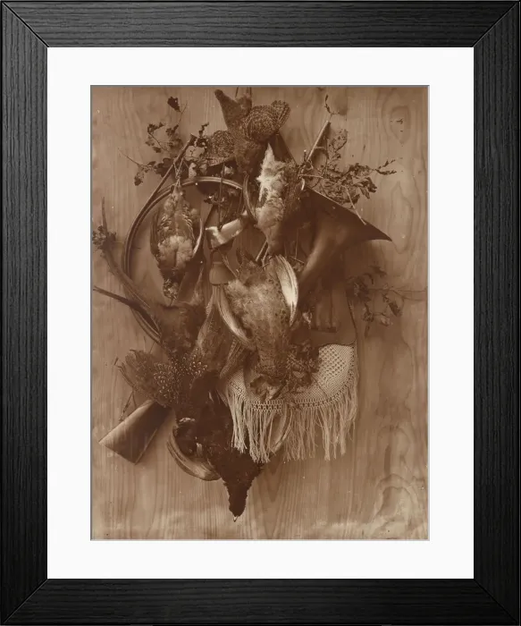 Framed Print : Pheasant and Grouse, ca. 1865. Creator: Adolphe Braun Framed Print : Pheasant and Grouse, ca. 1865. Creator: Adolphe Braun