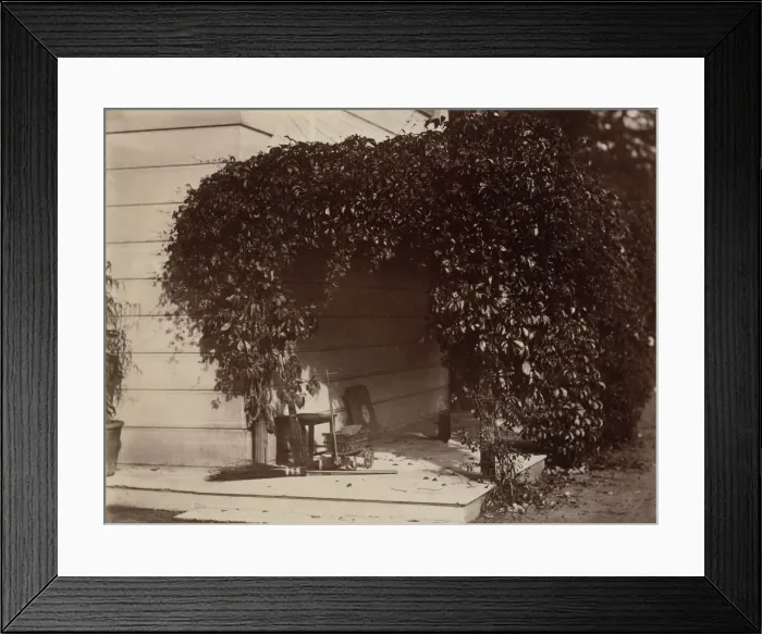 Framed Print : American Creeper, Blake House, 1860. Creator: Alfred Capel-Cure Framed Print : American Creeper, Blake House, 1860. Creator: Alfred Capel-Cure