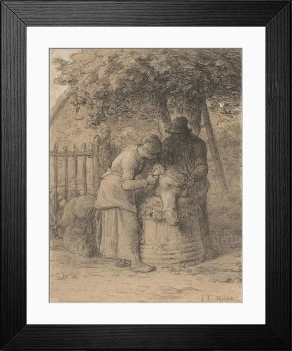Framed Print : Sheepshearing Beneath a Tree, ca. 1854. Creator: Jean Francois Millet Framed Print : Sheepshearing Beneath a Tree, ca. 1854. Creator: Jean Francois Millet