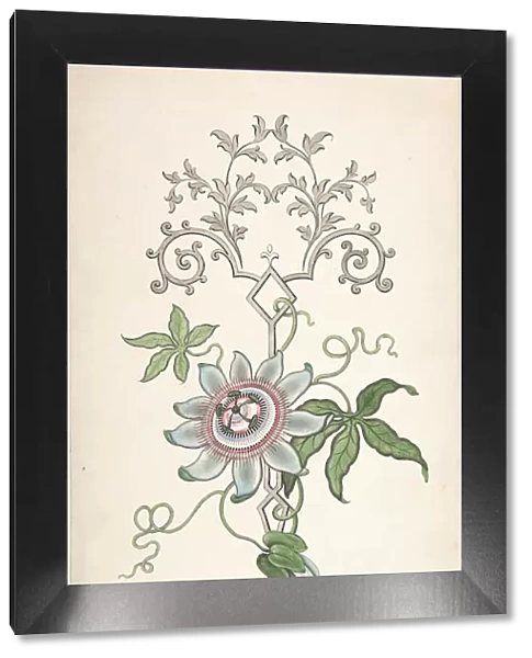 Design for Panel Decoration Centered on a Passion Flower, 1828-40. Creator: J Hulme