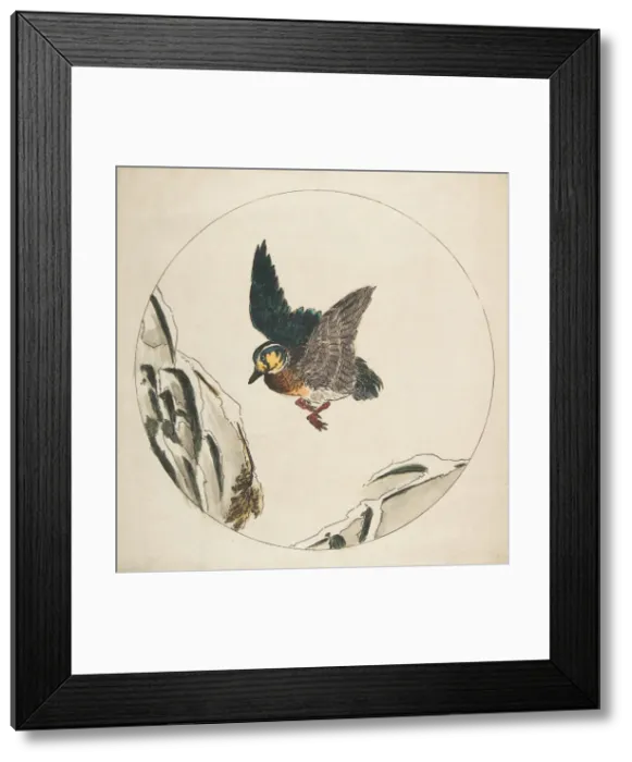Framed Print : Decoration for a Plate: A Duck flying over Snow-covered Branches, 1850-1914 Framed Print : Decoration for a Plate: A Duck flying over Snow-covered Branches, 1850-1914