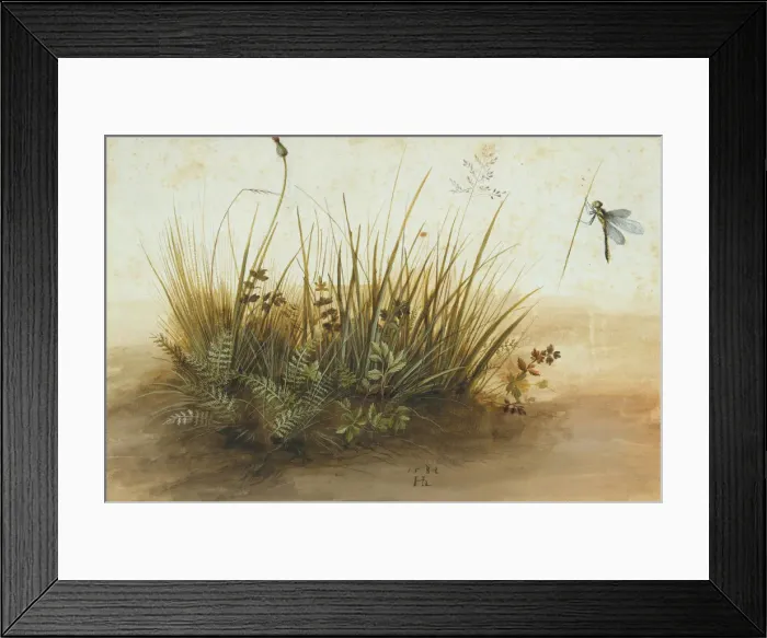 Framed Print : A Small Piece of Turf, 1584. Creator: Hans Hoffmann Framed Print : A Small Piece of Turf, 1584. Creator: Hans Hoffmann