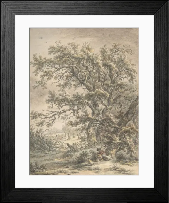 Framed Print : A Man Resting Under a Tree, n. d Creator: Egbert van Drielst Framed Print : A Man Resting Under a Tree, n. d Creator: Egbert van Drielst