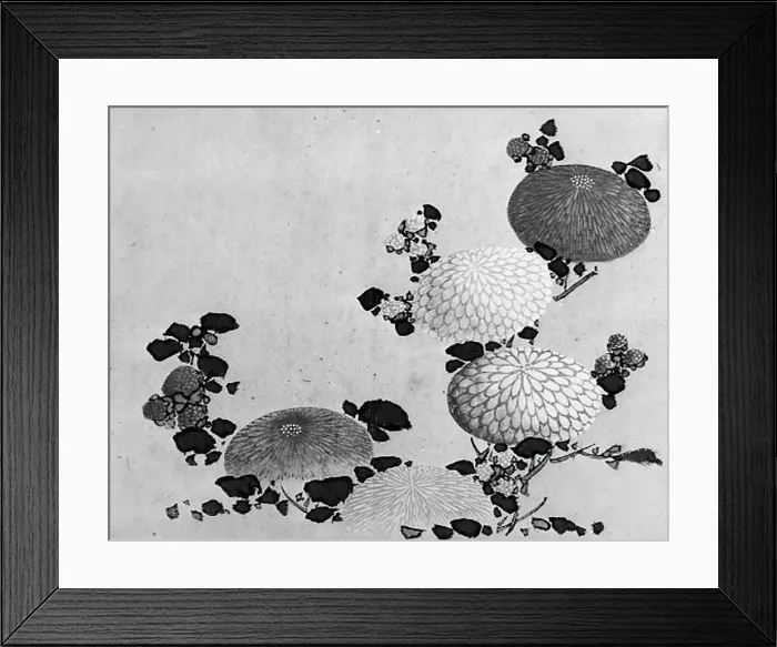 Framed Print : Chrysanthemums, 19th century. Creator: Hokusai School Framed Print : Chrysanthemums, 19th century. Creator: Hokusai School