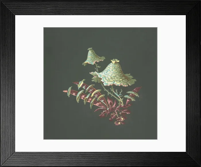 Framed Print : Two Hat-Shaped Chinoiserie Flowers with Fanciful Leaves, 19th century. Creator: Anon Framed Print : Two Hat-Shaped Chinoiserie Flowers with Fanciful Leaves, 19th century. Creator: Anon