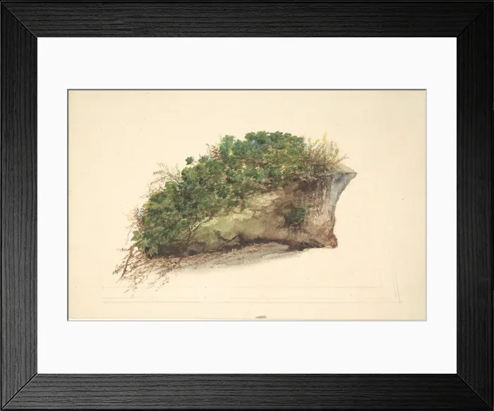 Framed Print : Study of a Piece of Turf, early 19th century. Creator: Anon Framed Print : Study of a Piece of Turf, early 19th century. Creator: Anon