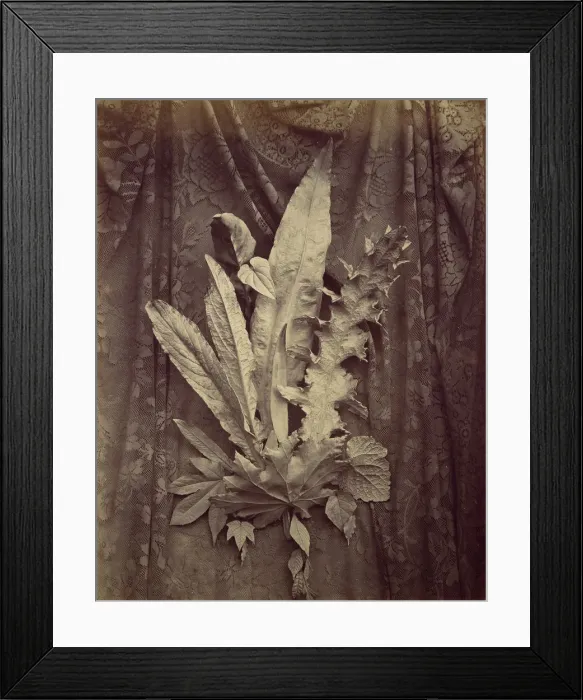 Framed Print : [Study of Leaves on a Background of Floral Lace], 1864. Creator: Charles Aubry