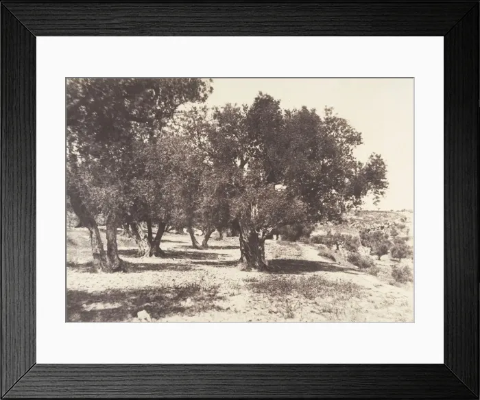Framed Print : Jerusalem, Champ du sang, 1854. Creator: Auguste Salzmann Framed Print : Jerusalem, Champ du sang, 1854. Creator: Auguste Salzmann