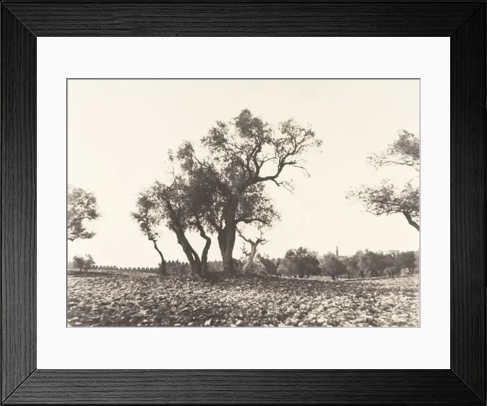 Framed Print : Jerusalem, Chemin de Naplouse, 1854. Creator: Auguste Salzmann Framed Print : Jerusalem, Chemin de Naplouse, 1854. Creator: Auguste Salzmann