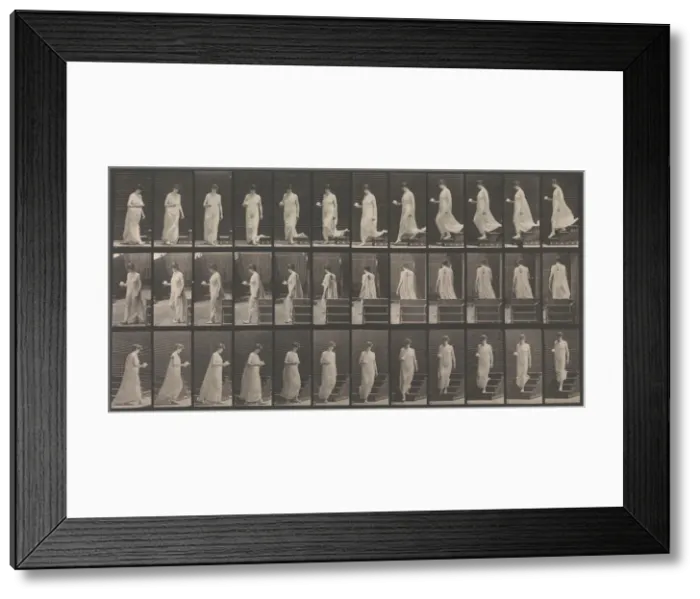 Framed Print : Animal Locomotion. An Electro-Photographic Investigation... of Animal Movements. Commence Framed Print : Animal Locomotion. An Electro-Photographic Investigation... of Animal Movements. Commence