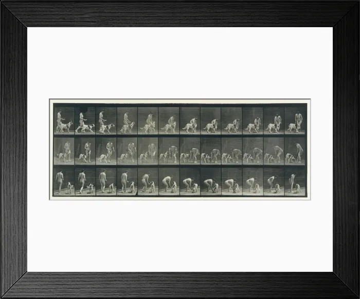 Framed Print : Animal Locomotion. An Electro-Photographic Investigation of Consecutive Phases of Animal Framed Print : Animal Locomotion. An Electro-Photographic Investigation of Consecutive Phases of Animal