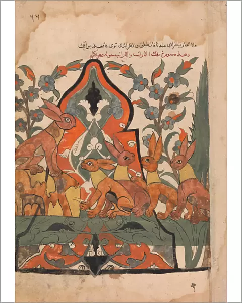 The King of the Hares in Counsel with his Subjects, Folio from a Kalila wa Dimna
