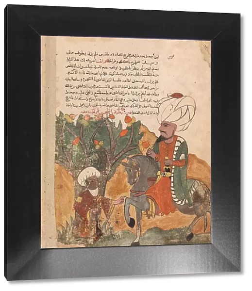 The Rogues Father Emerges from the Tree, Folio from a Kalila wa Dimna, 18th century
