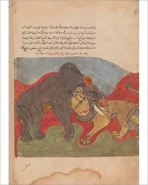 The Lion and the Elephant Fighting, Folio from a Kalila wa Dimna, 18th century