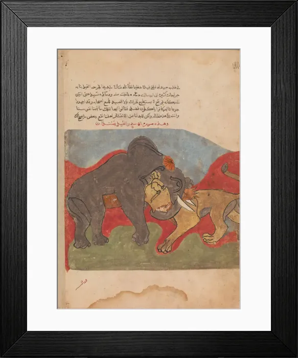 Framed Print : The Lion and the Elephant Fighting, Folio from a Kalila wa Dimna, 18th century Framed Print : The Lion and the Elephant Fighting, Folio from a Kalila wa Dimna, 18th century
