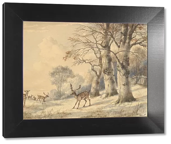 Deer under Beech Trees in Summer, 1853. Creator: Hendrik Gerrit ten Cate