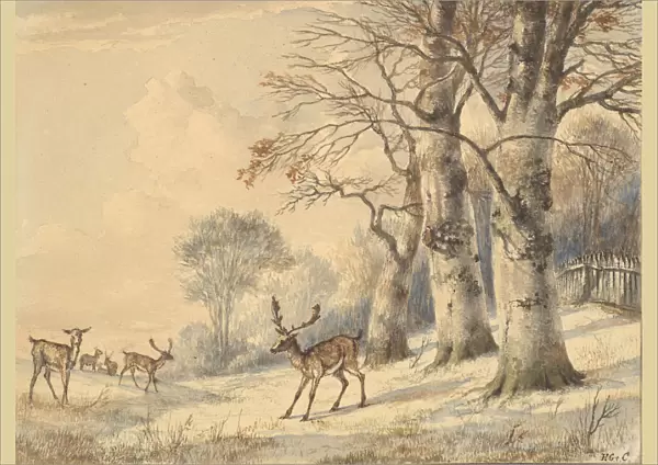 Deer under Beech Trees in Summer, 1853. Creator: Hendrik Gerrit ten Cate
