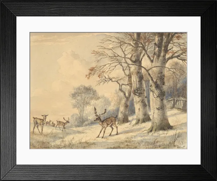 Framed Print : Deer under Beech Trees in Summer, 1853. Creator: Hendrik Gerrit ten Cate Framed Print : Deer under Beech Trees in Summer, 1853. Creator: Hendrik Gerrit ten Cate
