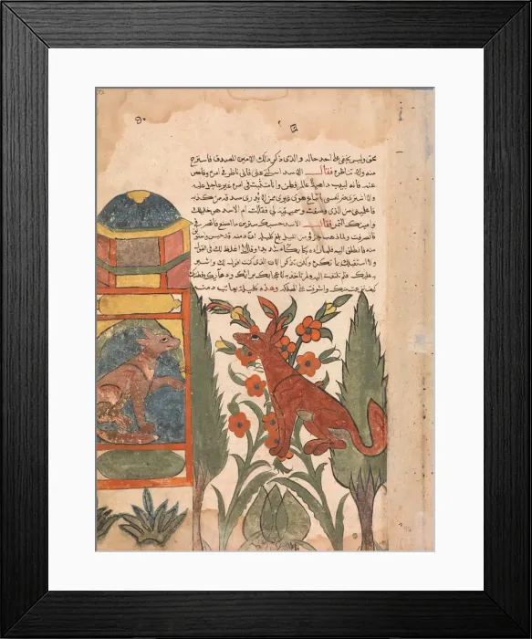 Framed Print : Kalila Visits the Imprisoned Dimna, Folio from a Kalila wa Dimna, 18th century