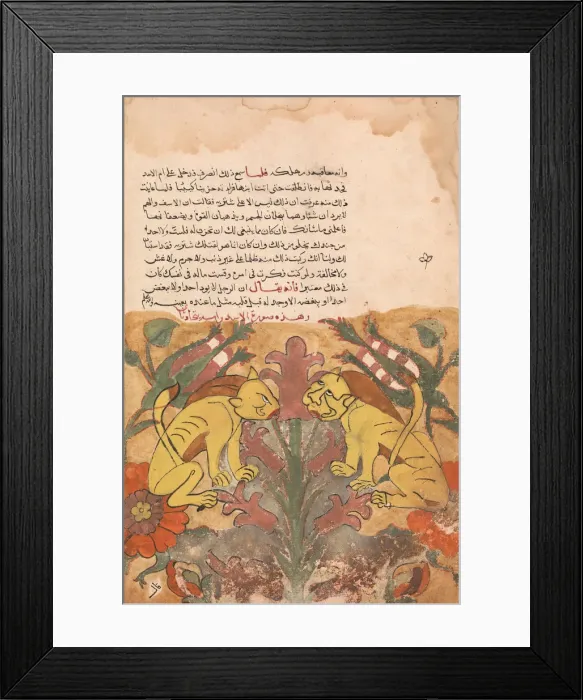 Framed Print : Folio from a Kalila wa Dimna, 18th century. Creator: Unknown Framed Print : Folio from a Kalila wa Dimna, 18th century. Creator: Unknown