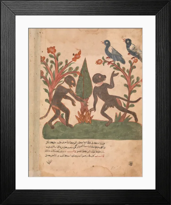 Framed Print : The Birds and the Monkeys with the Glow Worm, Folio from a Kalila wa Dimna, 18th century
