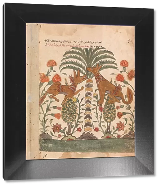 Kalila Upbraiding Dimna, Folio from a Kalila wa Dimna, 18th century. Creator: Unknown