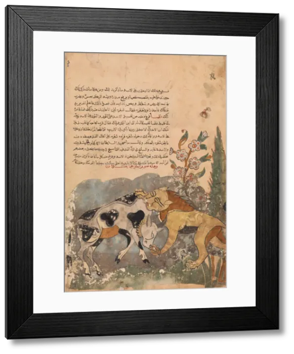 Framed Print : Folio from a Kalila wa Dimna, 18th century. Creator: Unknown Framed Print : Folio from a Kalila wa Dimna, 18th century. Creator: Unknown