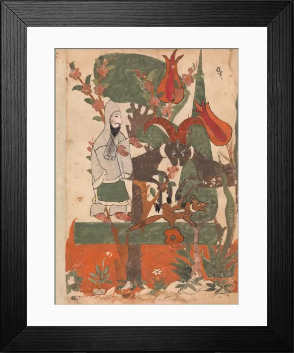 Framed Print : The Fox and the Battling Rams Observed by the Ascetic, Folio from a Kalila wa Dimna Framed Print : The Fox and the Battling Rams Observed by the Ascetic, Folio from a Kalila wa Dimna