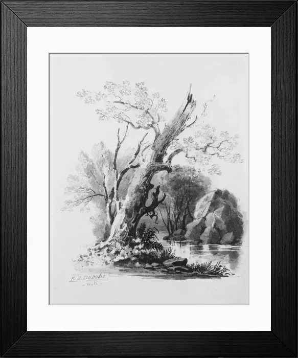 Framed Print : Forest Grove. Creator: William Guy Wall Framed Print : Forest Grove. Creator: William Guy Wall