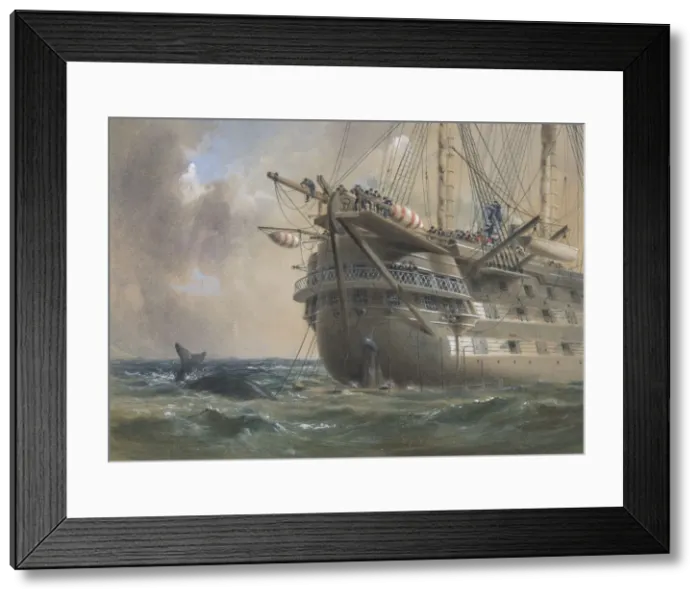 Framed Print : H. M. S. Agamemnon Laying the Atlantic Telegraph Cable in 1858: a Whale Crosses the Line Framed Print : H. M. S. Agamemnon Laying the Atlantic Telegraph Cable in 1858: a Whale Crosses the Line