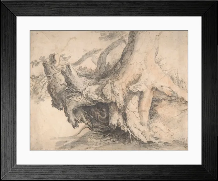 Framed Print : Study of a Tree, ca. 1606-7. Creator: Roelandt Savery Framed Print : Study of a Tree, ca. 1606-7. Creator: Roelandt Savery