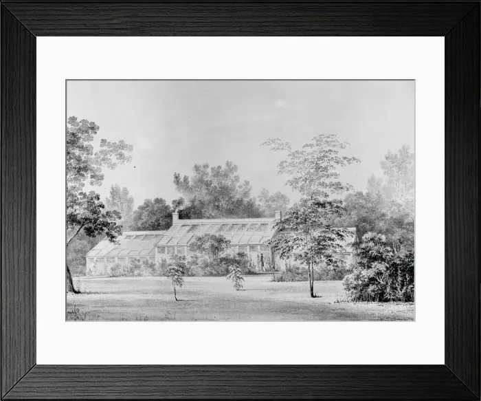 Framed Print : Greenhouse, David Hosack Estate, Hyde Park, New York (from Hoasack Album), ca. 1832 Framed Print : Greenhouse, David Hosack Estate, Hyde Park, New York (from Hoasack Album), ca. 1832