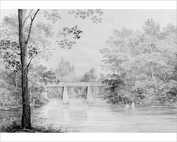 Bridge over Crumelbow Creek, David Hosack Estate, Hyde Park, New York... ca. 1832