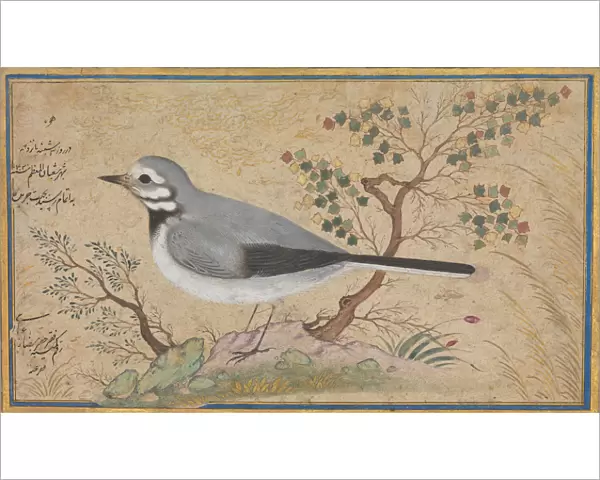Study of a Bird, dated A. H. 1043  /  A. D. 1634. Creator: Riza