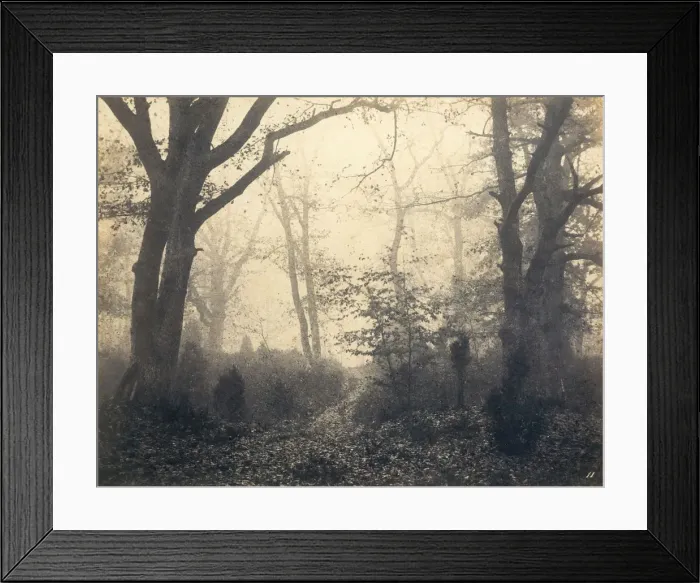 Framed Print : [Fontainebleau Forest], early 1860s. Creator: Eugene Cuvelier