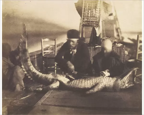 Autopsy of the First Crocodile Onboard, Upper Egypt, 1852. Creator: Ernest Benecke